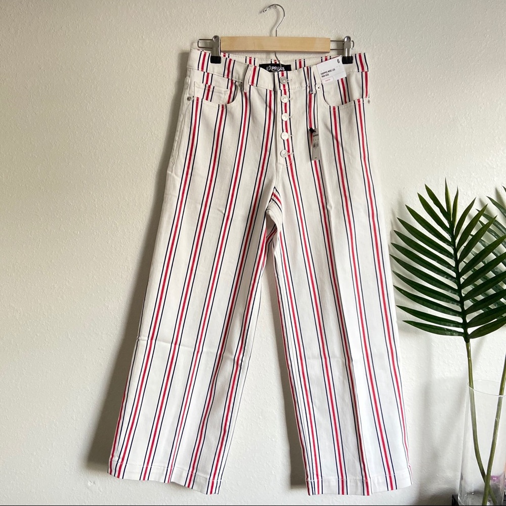 Express high striped crop wide leg jean